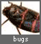 Bugs