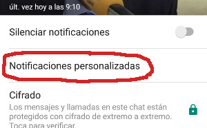 Notificaciones personalizadas