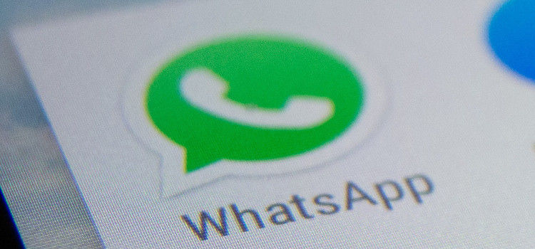 Icono WhatsApp