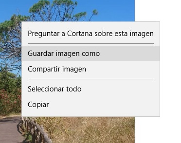 Ahora ya podemos guardar la imagen
