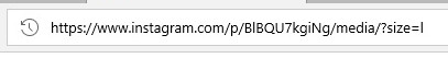 Así es como debe ser la URL para acceder a la imagen "en crudo"